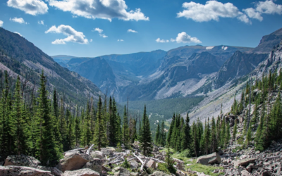 Roadless Rule repeal could cause more wildfires