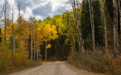 Prolonged drought could change the timing of leaf-peeping season in the Mountain West
