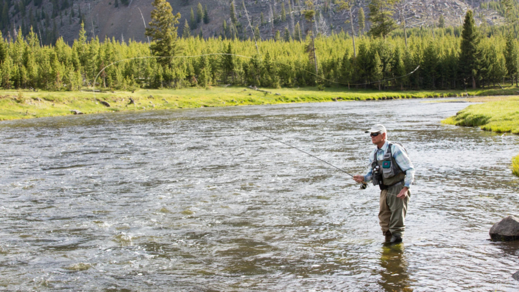 Yellowstone National Park lifts remaining fishing restrictions on three rivers