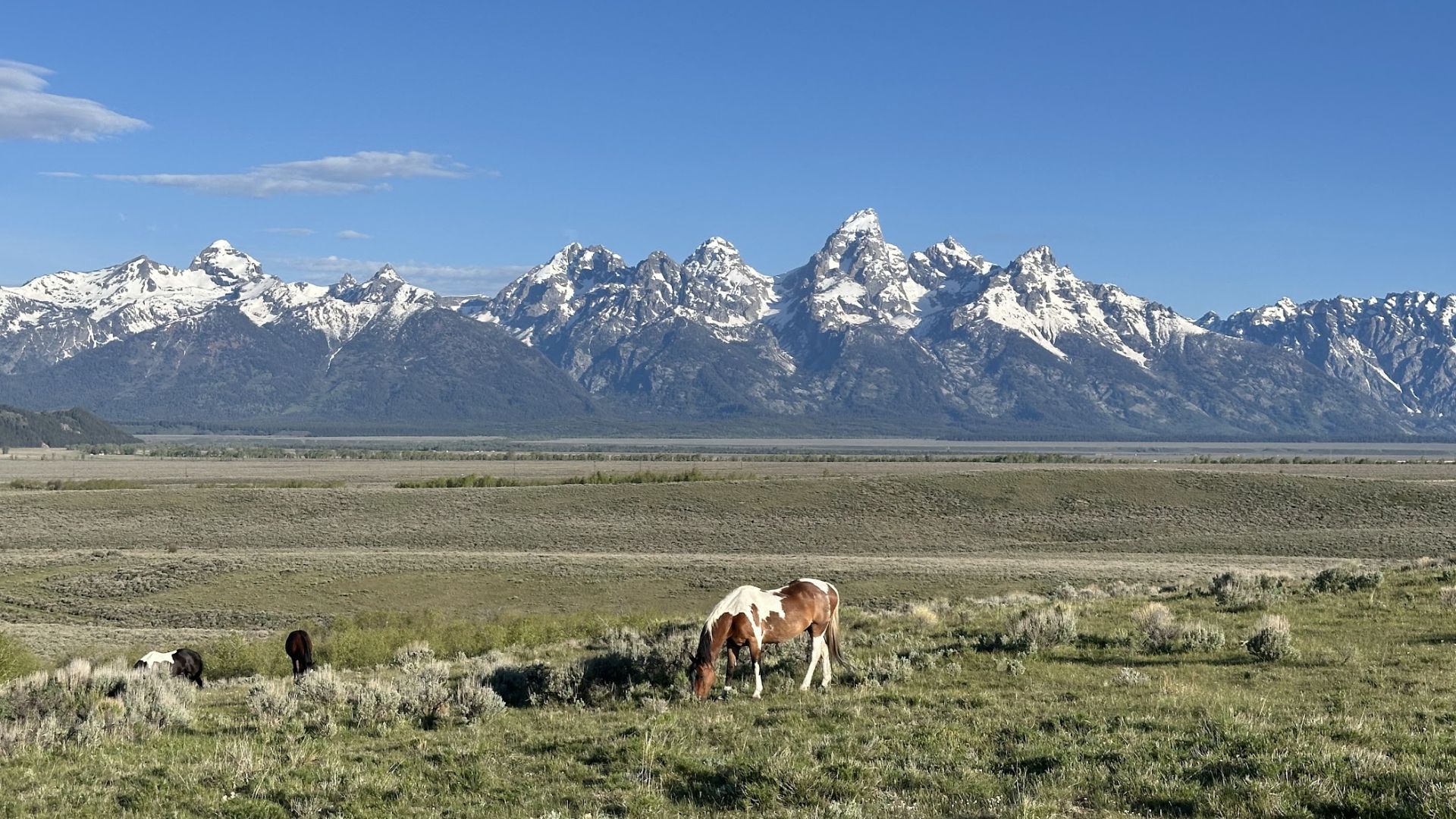 MLB backs down from Grand Teton pitch. Other parks may still be on the table - KHOL 89.1 FM